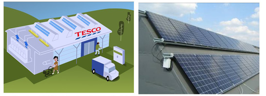 Tesco a természetért