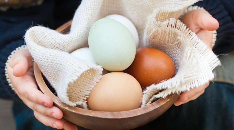 25 érdekesség és tény a tojásról