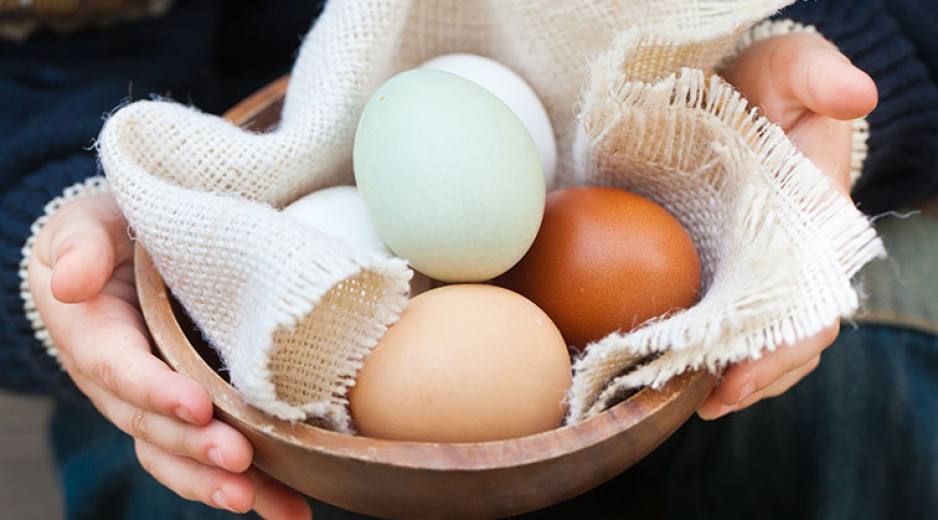25 érdekesség és tény a tojásról