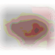 Klouda csontos sertéskarajsteak