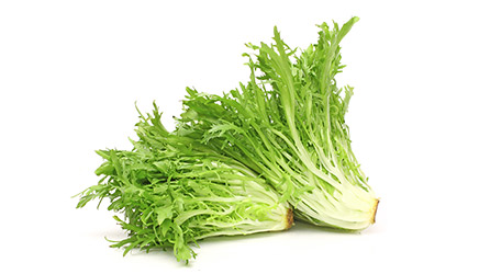 FRISÉE SALÁTA