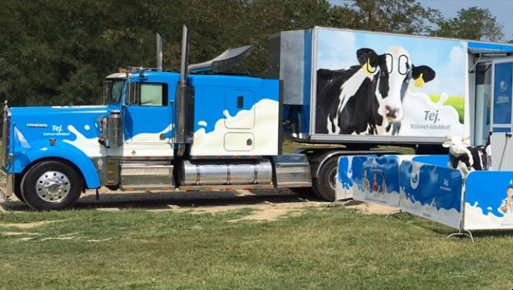 Tejkaraván a budaörsi áruházunknál