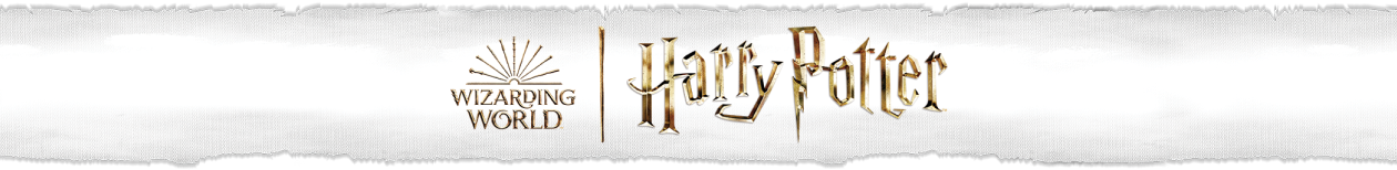 hp_hu_main__logo